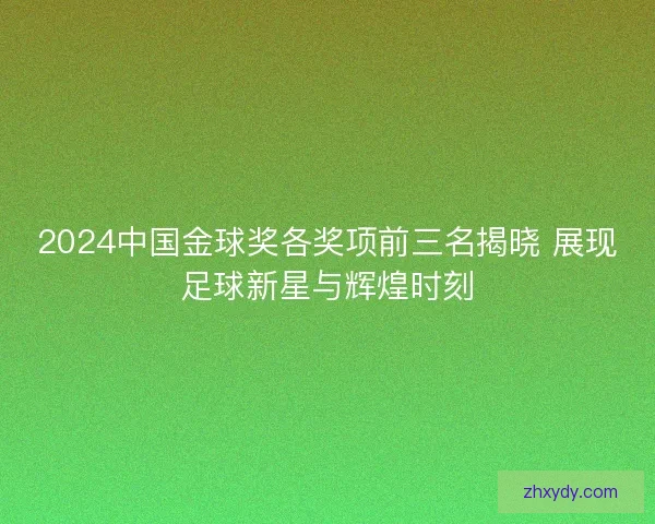 2024中国金球奖各奖项前三名揭晓 展现足球新星与辉煌时刻