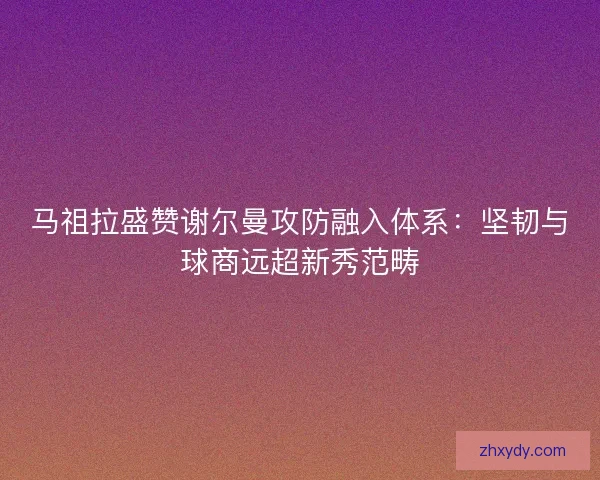 马祖拉盛赞谢尔曼攻防融入体系：坚韧与球商远超新秀范畴