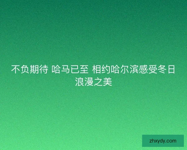 不负期待 哈马已至 相约哈尔滨感受冬日浪漫之美