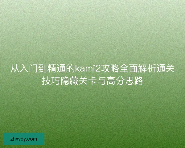 从入门到精通的kami2攻略全面解析通关技巧隐藏关卡与高分思路